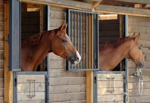 Outdoor Recreation Insurance: Maintaining Horse Stables